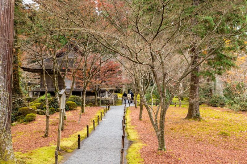 八瀬・大原 三千院 秘められた大原の歴史をさぐる 地図・旅行ガイド