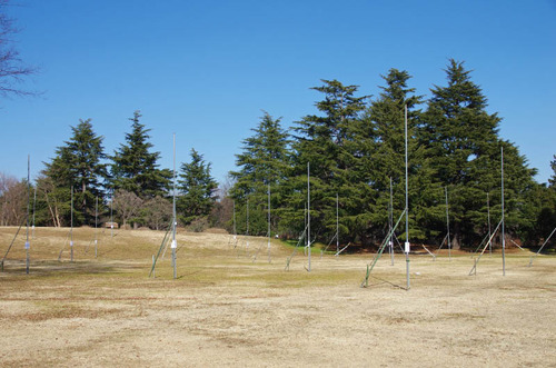 昭和記念公園201501-11
