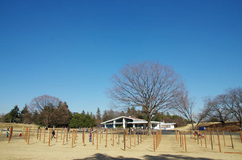 昭和記念公園201501-12