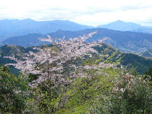 高尾山0420山頂からの景色