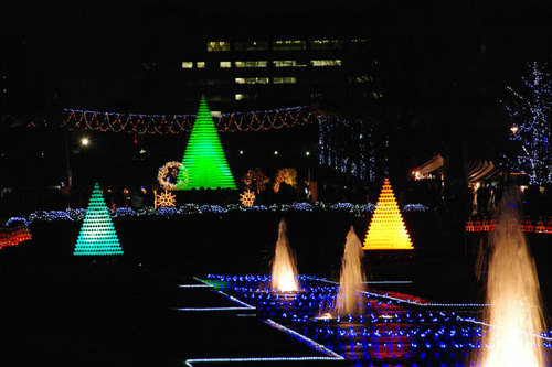 昭和記念公園イルミネーション201012-12
