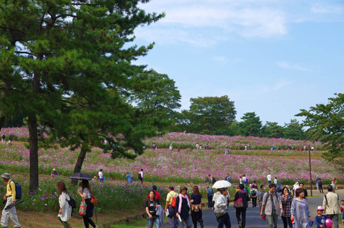 昭和記念公園2014-1
