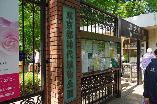 神代植物公園201305-7