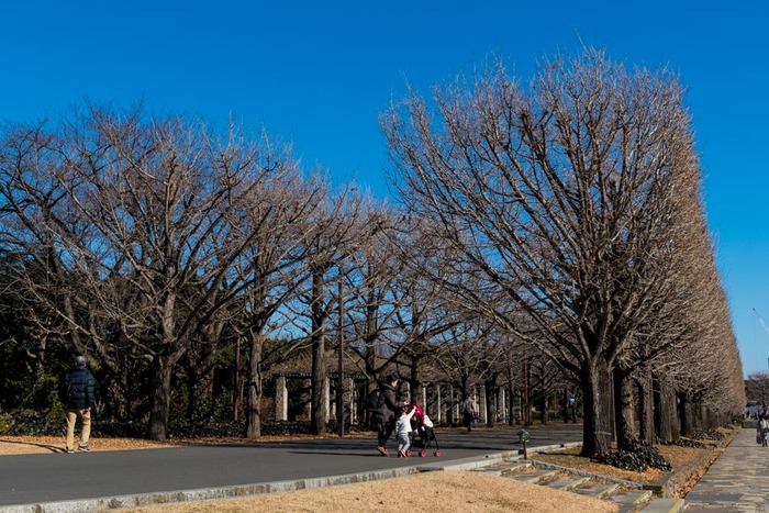 昭和記念公園201901