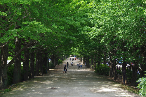 昭和記念公園201006-17
