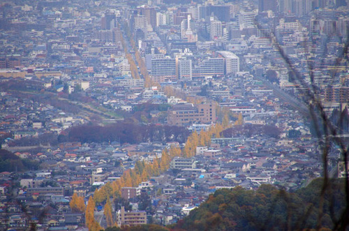 高尾山201111-16