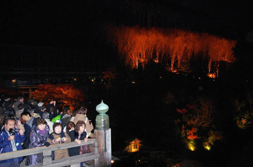 京都清水寺201211-4