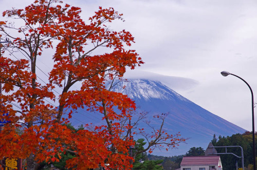 富士五湖の紅葉2013-15