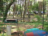 本栖湖キャンプ2008-4