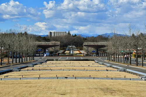 昭和記念公園201701