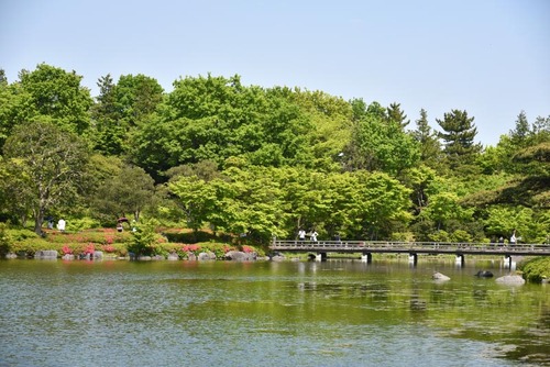 昭和記念公園201505-7