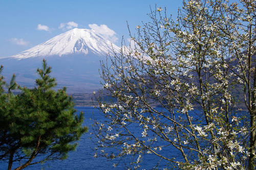 本栖湖からの富士山-7