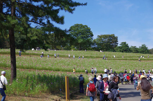 昭和記念公園201510-5