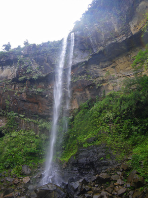 西表島ピナイサーラの滝2010-9