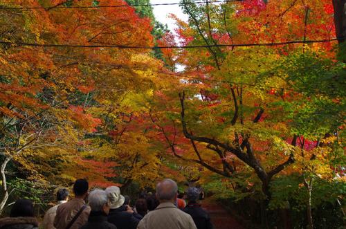 京都201211-2