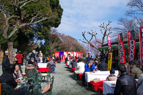 百草園梅祭り201002-4