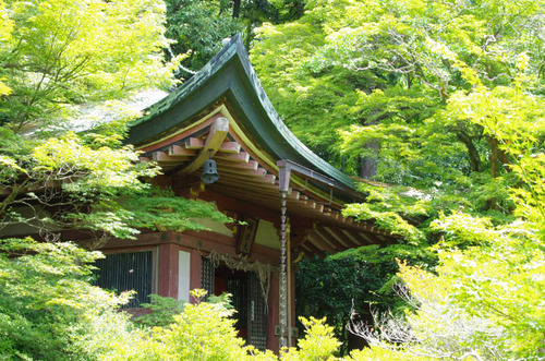 京都201307-7