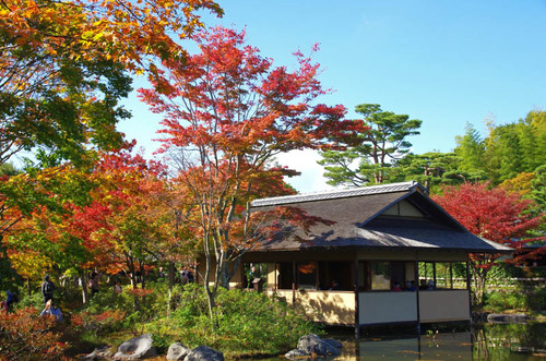 昭和記念公園201411-10
