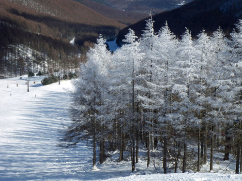 正月スキー2011-13