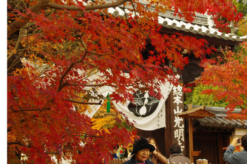 京都201211-5