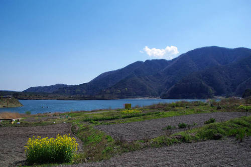精進湖201005-9