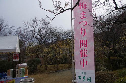 京王百草園201302-13