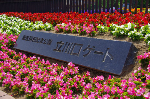 昭和記念公園201105-13