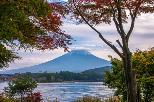 富士五湖の紅葉2013-8