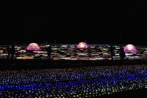 昭和記念公園イルミネーション201012-30