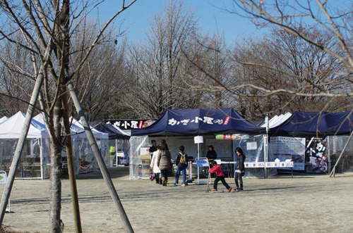 昭和記念公園201501-8