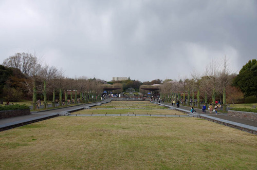 昭和記念公園201404-1
