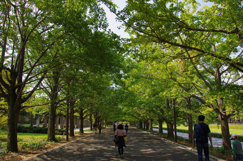 昭和記念公園201110-1